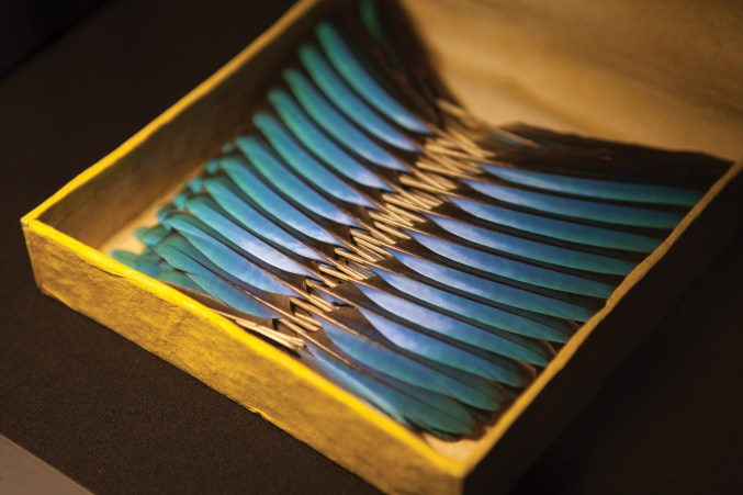 Kingfisher feathers in their original box