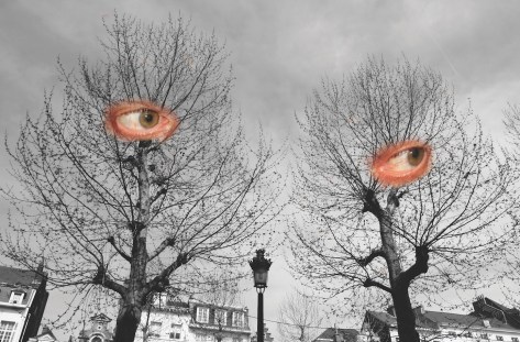 42StreetWatch copy_CMYK