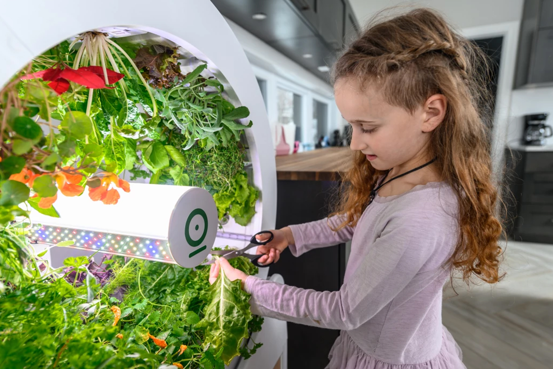 EZOZ21- Gadget_ogarden 2.jpg